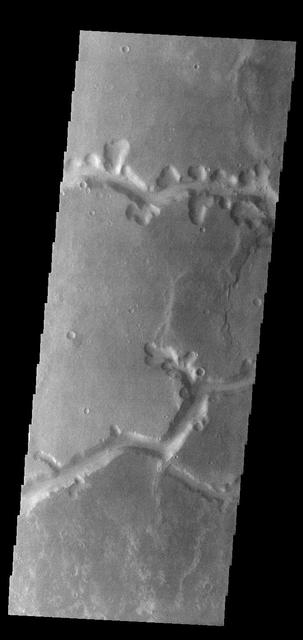 Today's VIS image shows a small section of Nirgal Valles. Located in Noachis Terra, Nirgal Valles is 610km long (379 miles).  Orbit Number: 84500 Latitude: -27.3291 Longitude: 314.675 Instrument: VIS Captured: 2021-01-01 00:11  https://photojournal.jpl.nasa.gov/catalog/PIA24361