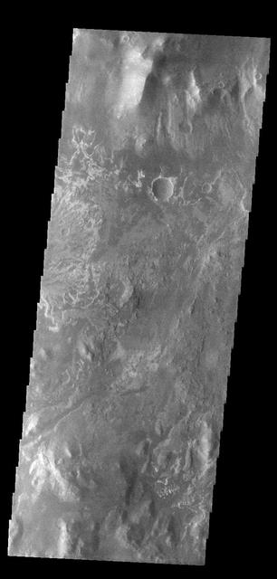 At the top of today's VIS image is the delta deposit on the floor of Eberswalde Crater. Deltas are formed when sediment laden rivers slow down — either due to a flattening of topography, or entering a standing body of water. The reduction in velocity causes the sediments to be deposited. The main channel often diverges into numerous smaller channel that spread apart to form the typical fan shape of a delta. The Eberswalde Crater delta is one of the best preserved on Mars.  Orbit Number: 84562 Latitude: -23.9124 Longitude: 326.56 Instrument: VIS Captured: 2021-01-06 02:41  https://photojournal.jpl.nasa.gov/catalog/PIA24362
