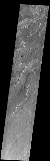 Today's VIS image shows a small portion of the immense lava flows that originated from Arsia Mons. Arsia Mons is the southernmost of the three large aligned volcanoes in the Tharsis region. Arsia Mons' last eruption was 10s of million years ago. The different surface textures are created by differences in the lava viscosity and cooling rates. The lobate margins of each flow can be traced back to the start of each flow — or to the point where they are covered by younger flows. Flows in Daedalia Planum can be as long as 180 km.  Orbit Number: 84016 Latitude: -23.1326 Longitude: 237.739 Instrument: VIS Captured: 2020-11-22 03:44  https://photojournal.jpl.nasa.gov/catalog/PIA24363