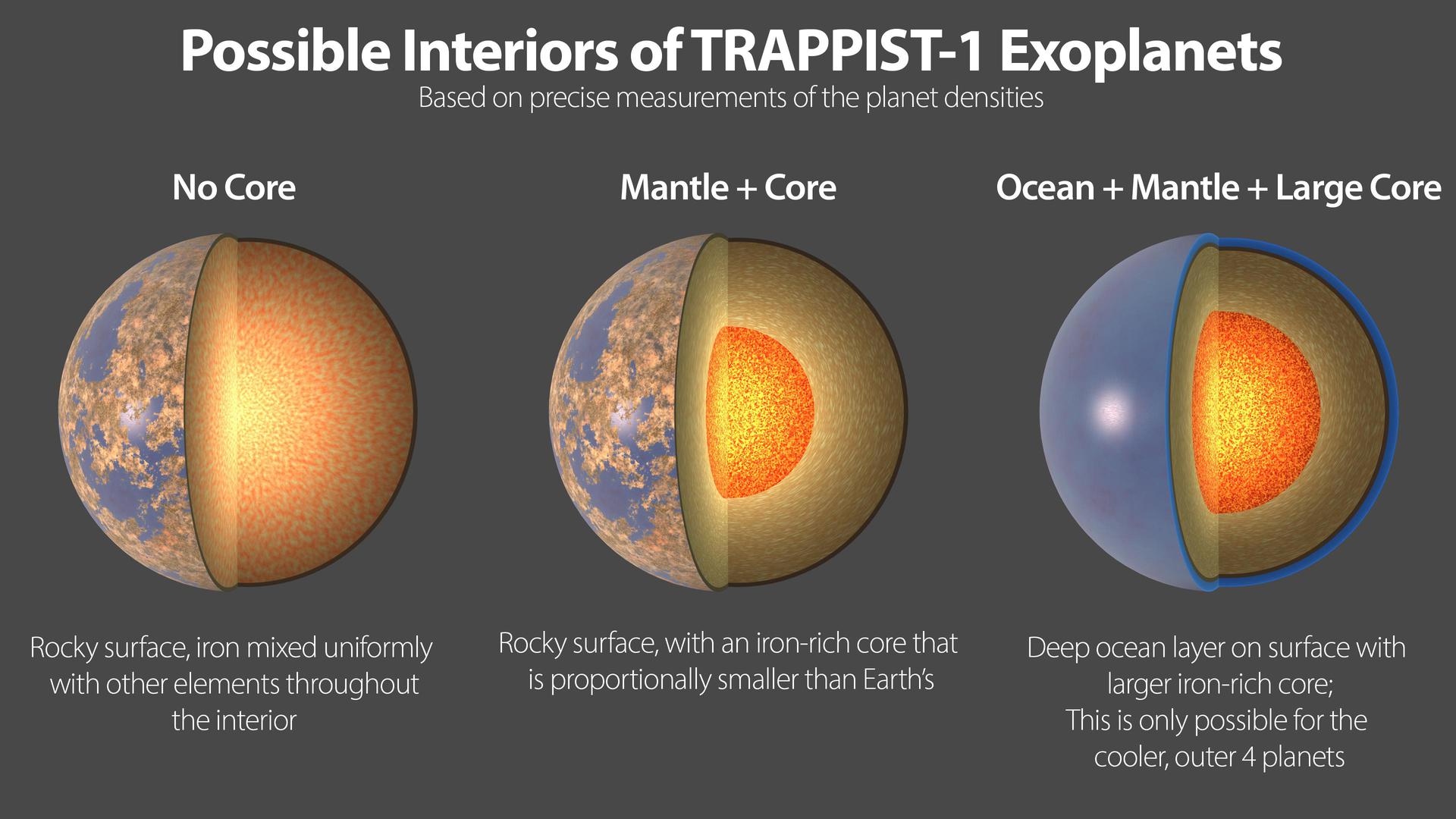 Three possible interiors of the TRAPPIST-1 exoplanets. All seven planets have very similar densities, so they likely have a similar compositions.