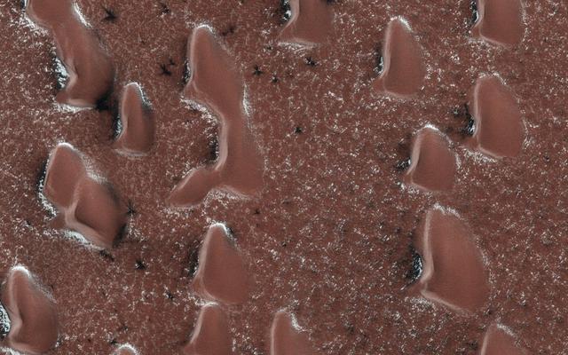NASA image: Spring Sprouts on Mars