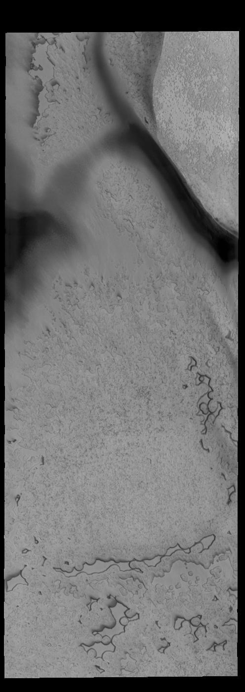 South Polar Textures