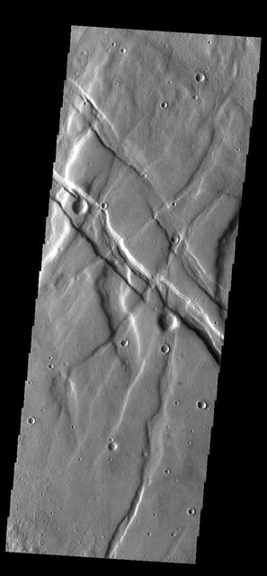 Located between the lava plains of Daedalia Planum and Solis Planum, Claritas Fossae is a graben filled highland. Graben are formed by tectonic activity, where extensional forces stretch the surface allowing blocks of material to slide down between paired faults. These linear grabens are termed fossae. This region of Mars had very active tectonism and volcanism, resulting in the huge volcanos like Arsia Mons and deep chasmata of Valles Marineris. Claritas Fossae was formed prior to the large lava flows of the Tharsis region. Orbit Number: 84439 Latitude: -41.4956 Longitude: 272.168 Instrument: VIS Captured: 2020-12-26 23:43 https://photojournal.jpl.nasa.gov/catalog/PIA24402