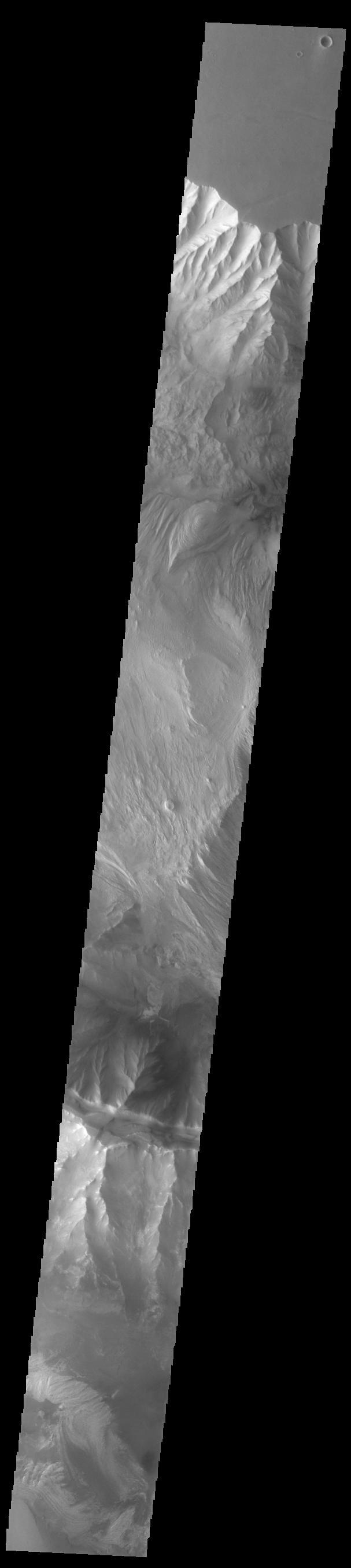 Today's VIS image crosses both Ophir Chasma (top) and Candor Chasma (bottom). Layered and eroded material covers the floors of both chasmata. Both canyons are part of Valles Marineris. Often called the grand canyon of Mars, Valles Marineris extends over 3,000 kilometers (1864 miles) long, spans as much as 600 kilometers across, and as deep as 8 kilometers. By comparison, the Earth's Grand Canyon in Arizona, USA is 800 kilometers long, 30 kilometers across, and 1.8 kilometers deep.  Orbit Number: 84551 Latitude: -4.18643 Longitude: 286.548 Instrument: VIS Captured: 2021-01-05 04:50  https://photojournal.jpl.nasa.gov/catalog/PIA24404
