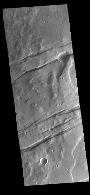 The channel-like features in this VIS image are tectonic graben. These graben are called Sirenum Fossae. Graben are created in regions of extensional tectonic stress, where the bedrock is faulted and pulled apart, allowing linear sections of the surface to drop downward along paired faults. The Sirenum Fossae graben are 2735km (1700 miles) long. Orbit Number: 84111 Latitude: -37.1819 Longitude: 191.303 Instrument: VIS Captured: 2020-11-30 00:06 https://photojournal.jpl.nasa.gov/catalog/PIA24406