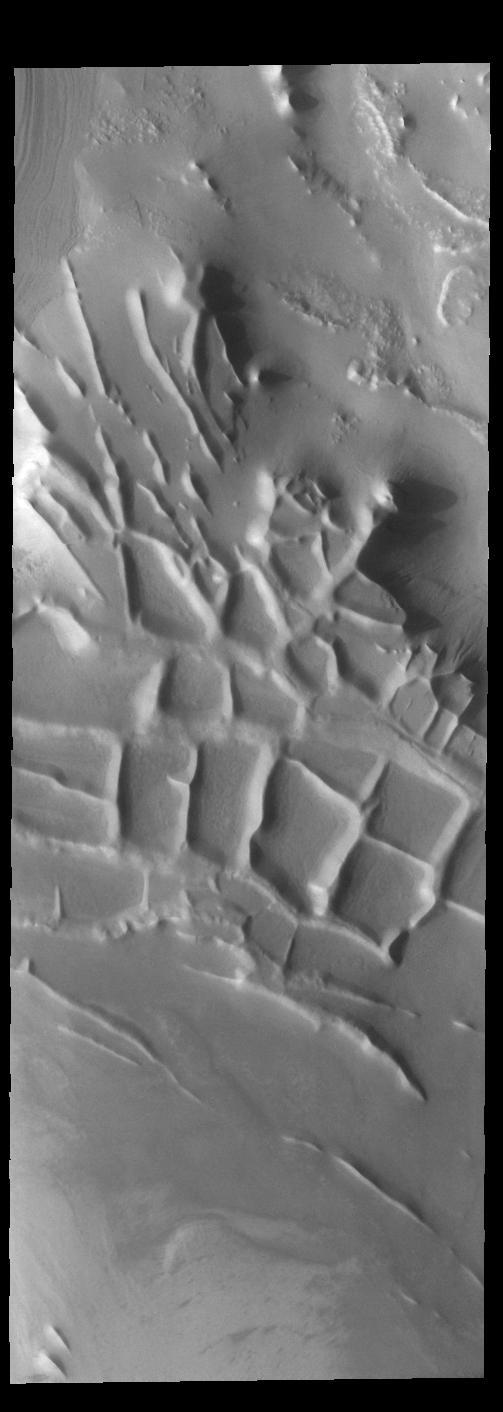 Angustus Labyrinthus is a unique region near the south polar cap. The squares formed by intersecting ridges earned the feature the informal name of the Inca City when it was discovered in Mariner 9 images in 1972. The linear ridges are believed to have formed by volcanic and tectonic forces, where magma filled fractures in the subsurface and then erosion revealed the magmatic material.  Orbit Number: 84113 Latitude: -81.4396 Longitude: 296.074 Instrument: VIS Captured: 2020-11-30 03:44  https://photojournal.jpl.nasa.gov/catalog/PIA24407