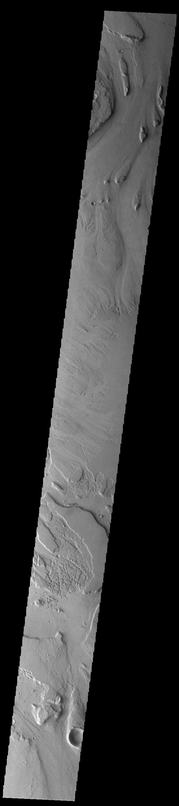 Today's VIS image shows a small section of Mangala Valles. Mangala Valles is a complex channel more than 900km long (560 miles). The channel system starts near Mangala Fossae, a large tectonic feature that intersects the volcanic plains of Daedalia Planum. Like other channels in the region, Mangala Valles flows northward, eventually emptying into southern Amazonis Planitia. Visible at the top of the image are tear-drop shaped hills within the channel. These features are called streamlined islands and the narrow "tail" points down stream.  Orbit Number: 84304 Latitude: -16.0319 Longitude: 210.534 Instrument: VIS Captured: 2020-12-15 20:48  https://photojournal.jpl.nasa.gov/catalog/PIA24411