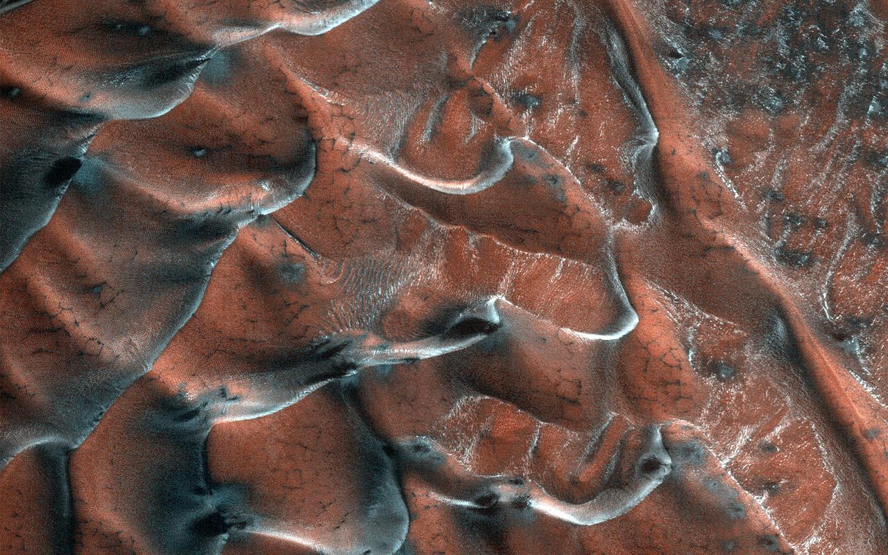 A field of sand dunes occupies this frosty 5-kilometer diameter crater in the high-latitudes of the northern plains of Mars. Some dunes have separated from the main field and appear to be climbing up the crater slope along a gully-like form. The surface of the main dune field is characterized by a series of dark-toned polygonal patterns. These may be the result of seasonal frost processes. Several of the steeper dune slopes, pointing in the downwind direction, host narrow furrows suggesting the start of gully formation. The crater floor contains a variety of textures, including lobate and striped patterns that indicate seasonal thaw caused by sublimating ice. Broad downslope movement of materials on the crater slopes opposite the dune field superficially resemble gullies, except that they are generally not defined by distinctive alcoves, incised channels, or sediment aprons. These are the hallmarks of gullies elsewhere on the planet. https://photojournal.jpl.nasa.gov/catalog/PIA24420