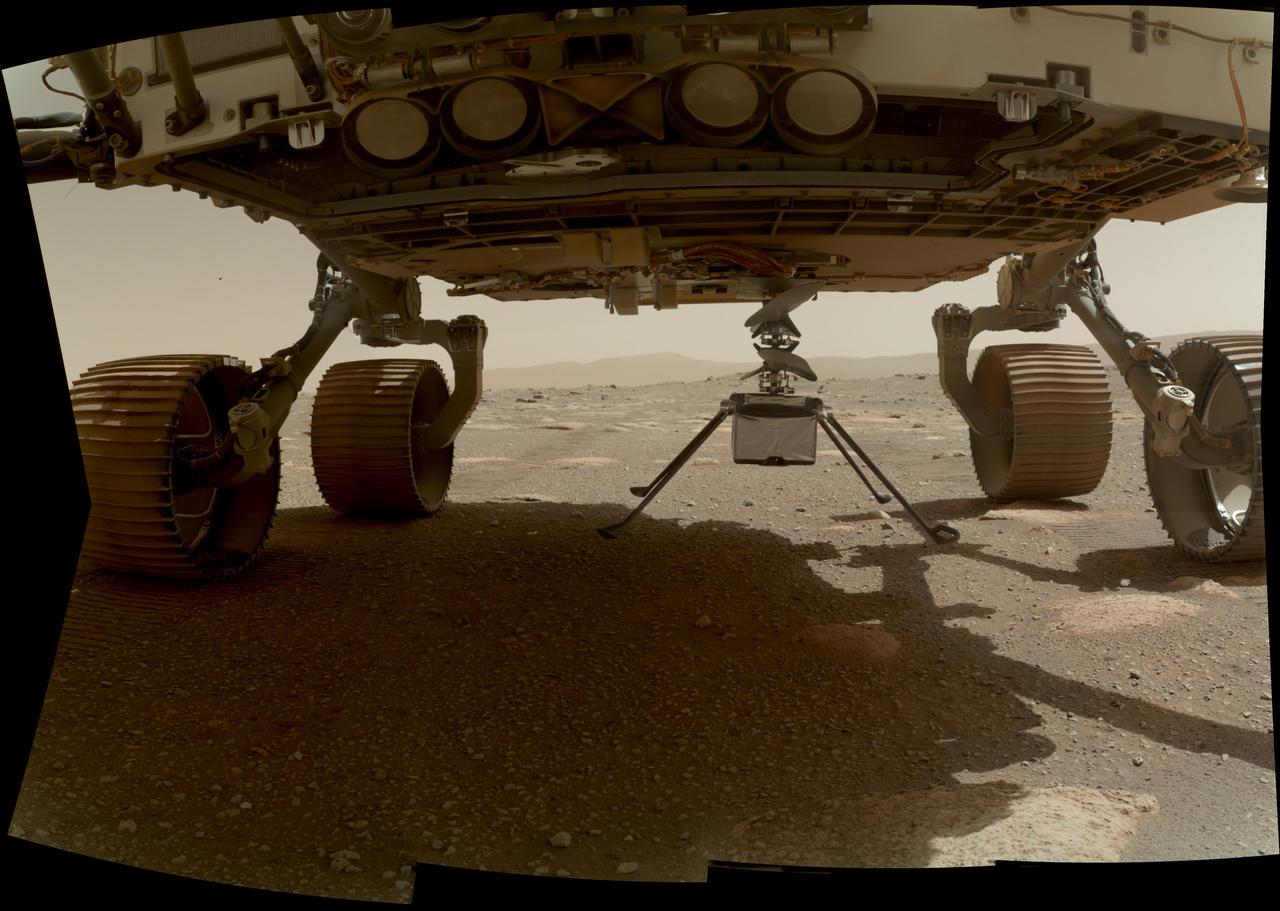 NASA's Ingenuity helicopter can be seen here with all four of its legs deployed before dropping from the belly of the Perseverance rover on March 30, 2021, the 39th Martian day, or sol, of the mission. This image was taken by the WATSON (Wide Angle Topographic Sensor for Operations and eNgineering) camera on the SHERLOC (Scanning Habitable Environments with Raman and Luminescence for Organics and Chemicals) instrument, located at the end of the rover's long robotic arm. NASA's Jet Propulsion Laboratory built and manages operations of Perseverance and Ingenuity for the agency. Caltech in Pasadena, California, manages JPL for NASA. WATSON was built by Malin Space Science Systems (MSSS) in San Diego and is operated jointly by MSSS and JPL. The Mars helicopter technology demonstration activity is supported by NASA's Science Mission Directorate, the NASA Aeronautics Research Mission Directorate, and the NASA Space Technology Mission Directorate. A key objective for Perseverance's mission on Mars is astrobiology, including the search for signs of ancient microbial life. The rover will characterize the planet's geology and past climate, pave the way for human exploration of the Red Planet, and be the first mission to collect and cache Martian rock and regolith (broken rock and dust). Subsequent NASA missions, in cooperation with ESA (European Space Agency), would send spacecraft to Mars to collect these sealed samples from the surface and return them to Earth for in-depth analysis. https://photojournal.jpl.nasa.gov/catalog/PIA24449
