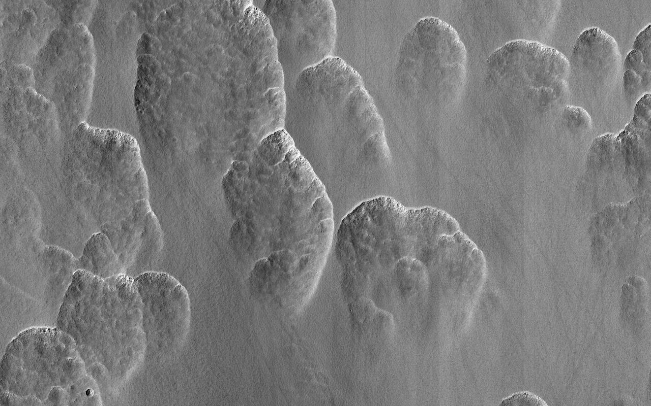 About a third of Mars has water ice just below the dusty surface. Figuring out exactly where is vital for future human explorers. One of the ways scientists do this is to look for landforms that only occur when this buried ice is present. These scallops are one of those diagnostic landforms. A layer of clean ice lies just below the surface in this image. As the ice ablates away in some spots the surface dust collapses into the hole that's left. These holes grow into the scallops visible here as more and more ice is lost. Between the scallops, the ice is still there, ready for some astronaut to come along and dig it up. https://photojournal.jpl.nasa.gov/catalog/PIA24468