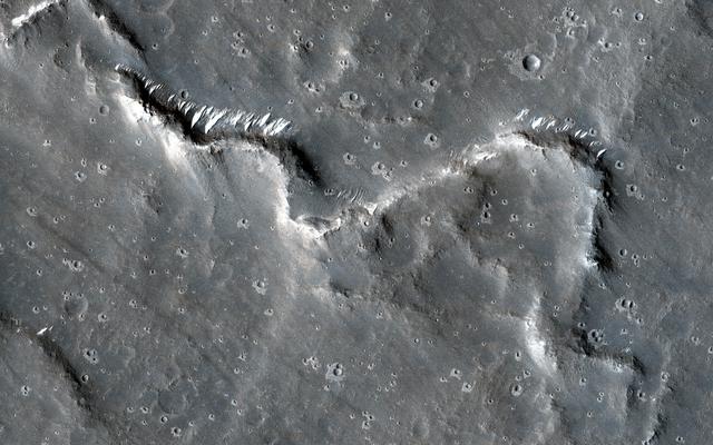 NASA image: Sinuous Ridges in Elysium Planitia