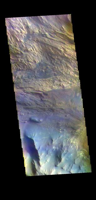 The THEMIS VIS camera contains 5 filters. The data from different filters can be combined in multiple ways to create a false color image. These false color images may reveal subtle variations of the surface not easily identified in a single band image. Today's false color image shows part of Candor Chasma. Candor Chasma is one of the largest canyons that make up Valles Marineris. It is approximately 810 km long (503 miles) and has is divided into two regions – eastern and western Candor. Candor is located south of Ophir Chasma and north of Melas Chasma. The border with Melas Chasma contains many large landslide deposits. The floor of Candor Chasma includes a variety of landforms, including layered deposits (seen in this image), dunes, landslide deposits and steep sided cliffs and mesas. Many forms of erosion have shaped Candor Chasma. There is evidence of wind and water erosion, as well as significant gravity driven mass wasting (landslides).  Orbit Number: 71132 Latitude: -6.71232 Longitude: 284.46 Instrument: VIS Captured: 2017-12-27 03:31  https://photojournal.jpl.nasa.gov/catalog/PIA24508