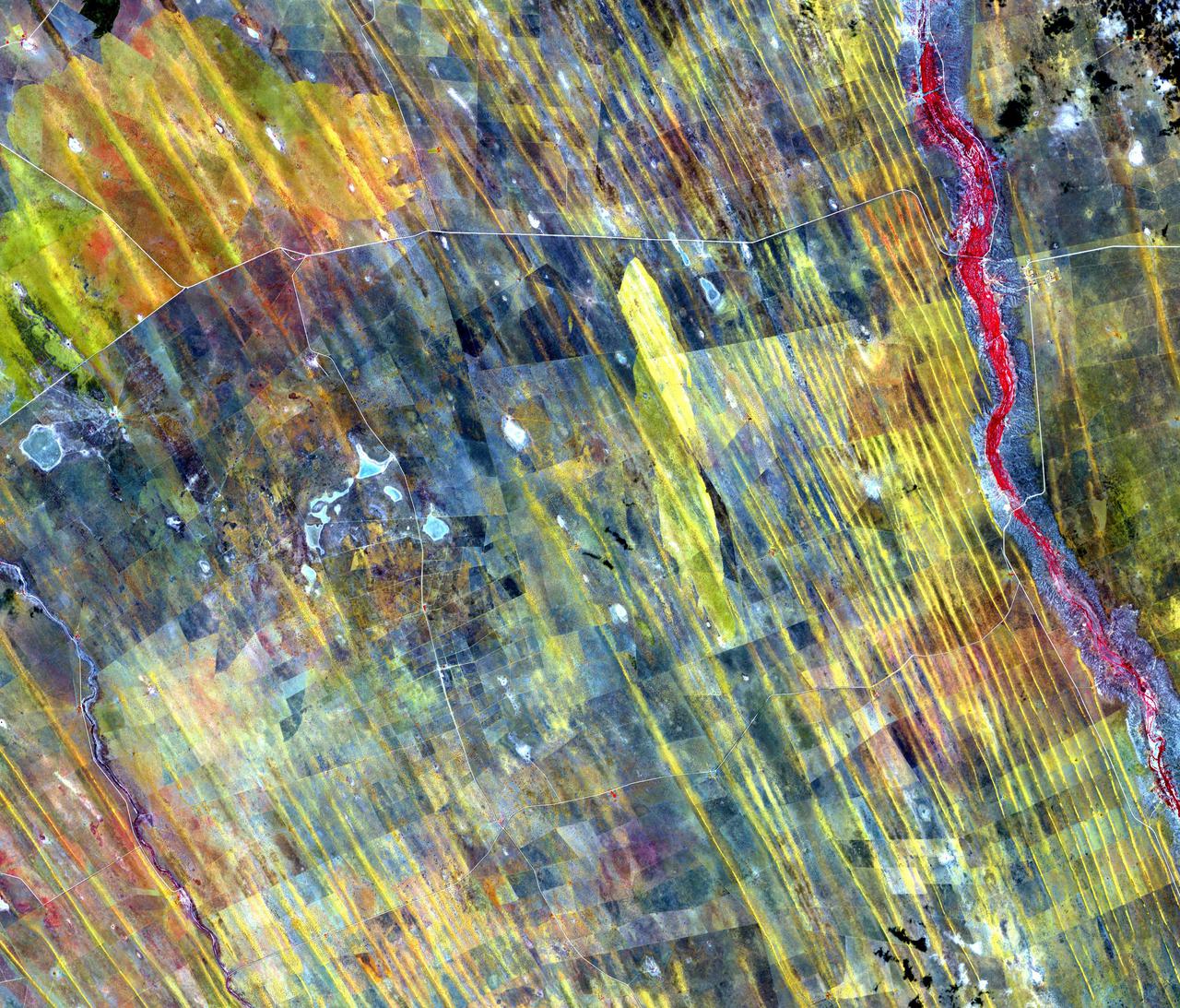 In central Namibia are long straight dunes along the western edge of the Kalahari Desert. Farmers and ranchers wage a constant losing battle with the sand dunes that cover once fertile lands. The image was acquired January 4, 2012, covers an area of 43.2 by 50.1 km, and is located at 23.5 degrees south, 18.7 degrees east. https://photojournal.jpl.nasa.gov/catalog/PIA24551