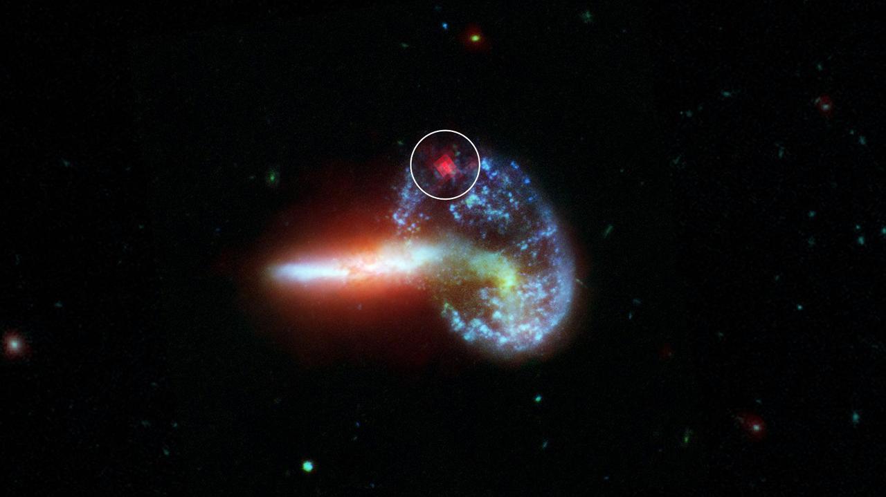 This image shows galaxy Arp 148, captured by NASA's Spitzer and Hubble telescopes. Inside the white circle is specially-processed Spitzer data, which reveals infrared light from a supernova that is hidden by dust. Supernovae are massive stars that have exploded after running out of fuel. They radiate most brightly in visible light (the kind the human eye can detect), but these wavelengths are obscured by dust. Infrared light, however, can pass through dust.  The analysis of Arp 148 was part of an effort to find hidden supernovae in 40 dust-choked galaxies that also emit high levels of infrared light. These galaxies are known as luminous and ultra-luminous infrared galaxies (LIRGs and ULIRGs, respectively). The dust in LIRGs and ULIRGs absorbs optical light from objects like supernovae but allows infrared light from these same objects to pass through unobstructed for telescopes like Spitzer to detect.  https://photojournal.jpl.nasa.gov/catalog/PIA24575
