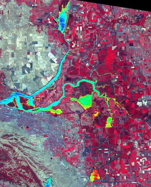 NASA image: Sacramento-San Joaquin River Delta, CA