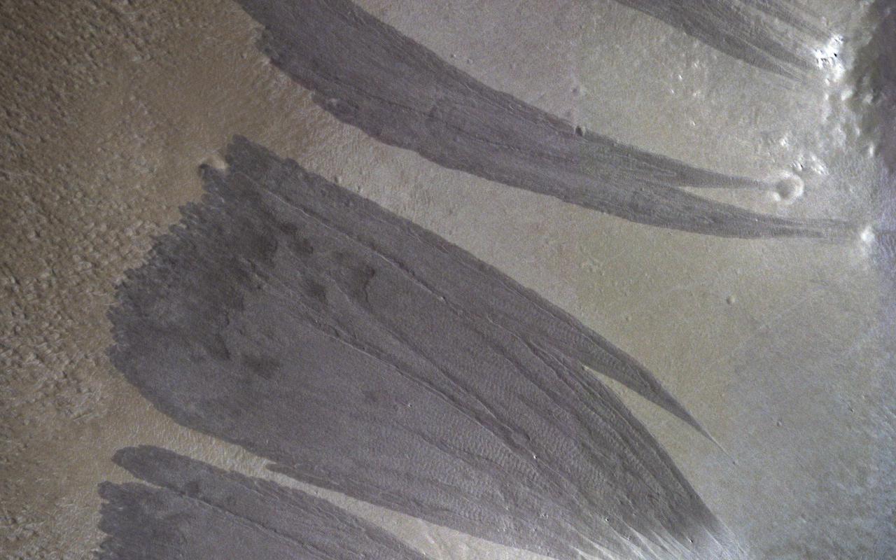 A Martian Dust Avalanche