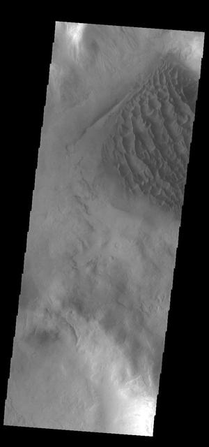 Today's VIS image shows the floor of Matara Crater. A large sand sheet dominates the floor of this crater located in Noachis Terra. The top of the sand sheet has been sculpted by the wind, creating dune forms. Matara Crater is 48km (30 miles) in diameter. Orbit Number: 84859 Latitude: -49.6428 Longitude: 34.4725 Instrument: VIS Captured: 2021-01-30 13:42 https://photojournal.jpl.nasa.gov/catalog/PIA24720