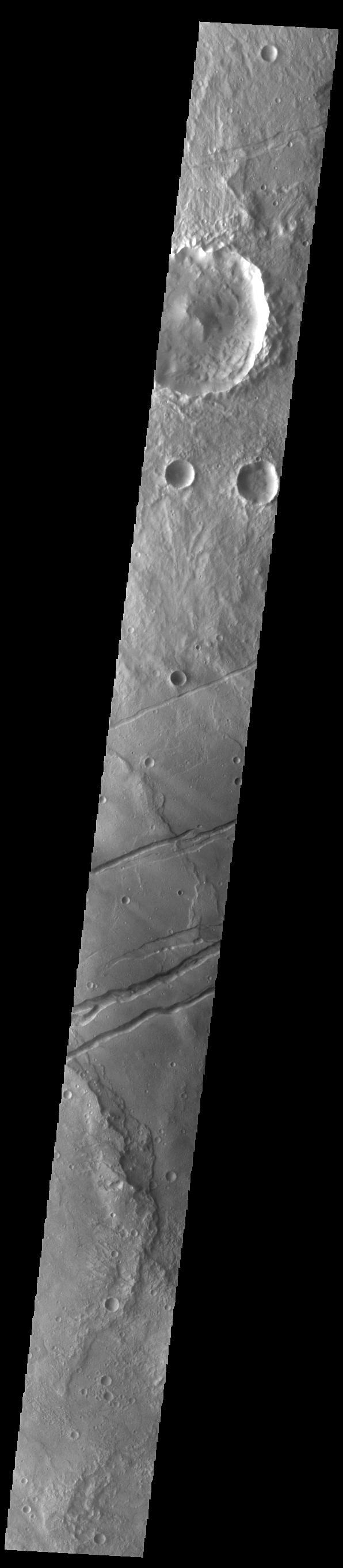 The channel-like features in this VIS image are tectonic graben. These graben are called Sirenum Fossae. Graben are created in regions of extensional tectonic stress, where the bedrock is faulted and pulled apart, allowing linear sections of the surface to drop downward along paired faults. The Sirenum Fossae graben are 2735km (1700 miles) long.  Orbit Number: 84903 Latitude: -30.8518 Longitude: 208.42 Instrument: VIS Captured: 2021-02-03 04:32  https://photojournal.jpl.nasa.gov/catalog/PIA24737