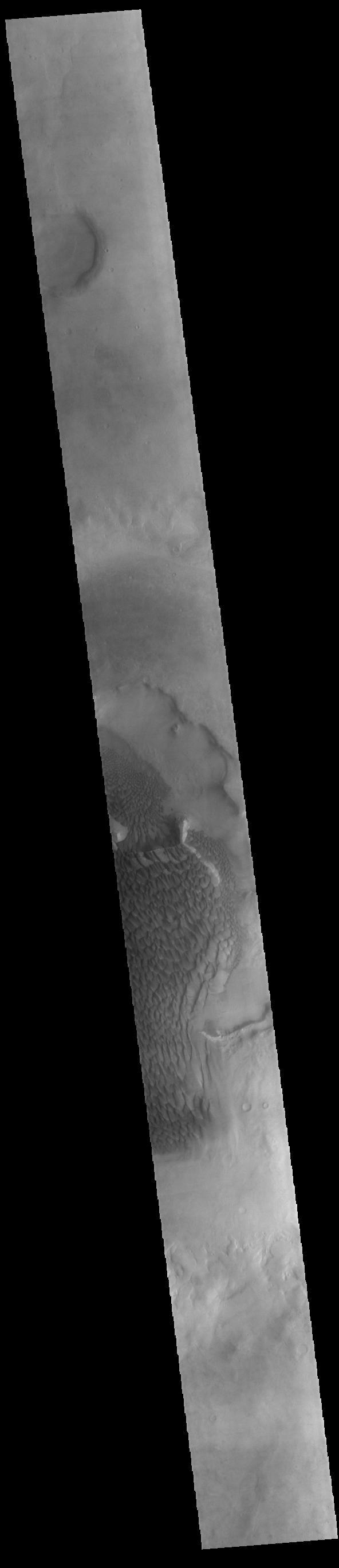 Today's VIS image shows part of the floor of Rabe Crater. Located in Noachis Terra, Rabe Crater is 108 km (67 miles) across. Dunes cover the majority of this image of Rabe Crater. As the dunes are created by wind action the forms of the dunes record the wind direction. Dunes will have a long low angle component and a short high angle side. The steep side is called the slip face. The wind blows up the long side of the dune. In this VIS image the slip faces are illuminated more than the longer side. In this part of the crater the winds were generally moving from the lower right corner of the image towards the upper left.  Craters of similar size as Rabe Crater often have flat floors. Rabe Crater has some areas of flat floor, but also has a large complex pit occupying a substantial part of the floor. The interior fill of the crater is thought to be layered sediments created by wind and or water action. The pit is eroded into this material. The eroded materials appear to have stayed within the crater forming a large sand sheet with surface dune forms as well as individual dunes where the crater floor is visible. Several other craters in this region have complex floors with pits.  Orbit Number: 84990 Latitude: -43.3123 Longitude: 34.9141 Instrument: VIS Captured: 2021-02-10 09:02  https://photojournal.jpl.nasa.gov/catalog/PIA24739