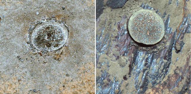 These abrasion targets, nicknamed "Guilliamus" (left) and "Bellegarde" (right), are from the first and second rocks drilled by NASA's Perseverance Mars rover. These images were taken by the rover's Mastcam-Z camera system. The rover abrades rocks using a tool on its robotic arm before drilling them in order to clear away dust and weathering rinds, allowing other instruments to study the rocks and determine if scientists want to grab a sample of them.  Arizona State University in Tempe leads the operations of the Mastcam-Z instrument, working in collaboration with Malin Space Science Systems in San Diego.  A key objective for Perseverance's mission on Mars is astrobiology, including the search for signs of ancient microbial life. The rover will characterize the planet's geology and past climate, pave the way for human exploration of the Red Planet, and be the first mission to collect and cache Martian rock and regolith (broken rock and dust).  Subsequent NASA missions, in cooperation with ESA (European Space Agency), would send spacecraft to Mars to collect these sealed samples from the surface and return them to Earth for in-depth analysis.  The Mars 2020 Perseverance mission is part of NASA's Moon to Mars exploration approach, which includes Artemis missions to the Moon that will help prepare for human exploration of the Red Planet.  https://photojournal.jpl.nasa.gov/catalog/PIA24769