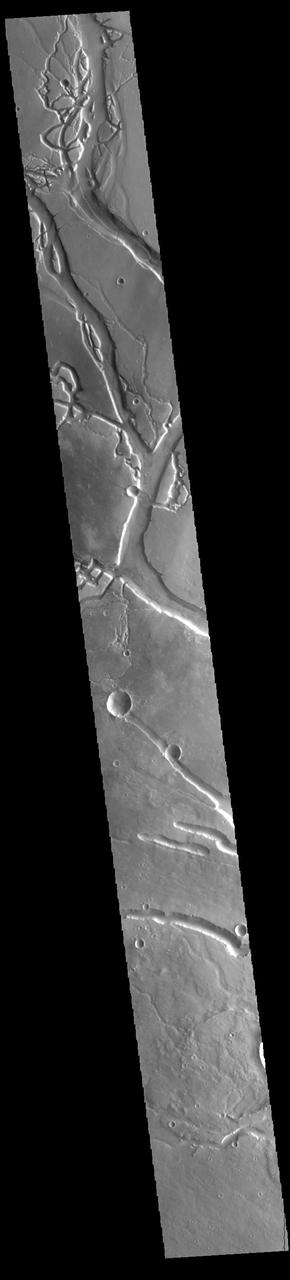 This VIS image shows many of the channel segments of Granicus Valles. Granicus Valles is a complex channel system located west of Elysium Mons. The system is approximately 750km long. It is likely that both water and lava played a part in creation of these features. Orbit Number: 85373 Latitude: 26.3625 Longitude: 135.996 Instrument: VIS Captured: 2021-03-13 22:16 https://photojournal.jpl.nasa.gov/catalog/PIA24779
