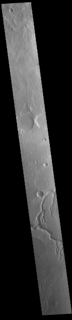 This VIS image shows a section of Nanedi Valles (bottom half of image). Located In Xanthe Terra, the channel system is 508 km (315 miles) long. Nanedi Valles contains two large channels that join together as the elevation drops near Chryse Planitia. Orbit Number: 85392 Latitude: 6.00615 Longitude: 310.665 Instrument: VIS Captured: 2021-03-15 11:42 https://photojournal.jpl.nasa.gov/catalog/PIA24780
