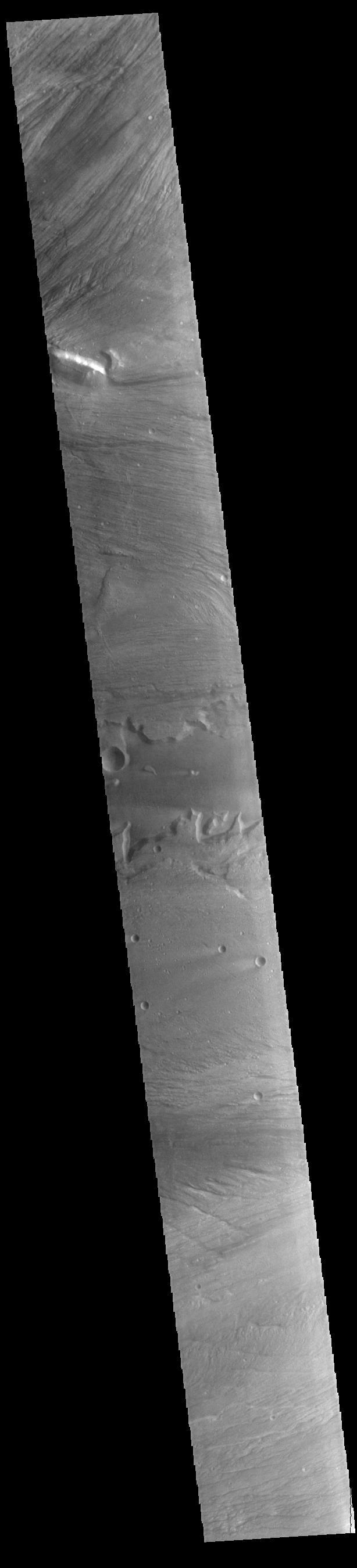 NASA image: Kasei Valles