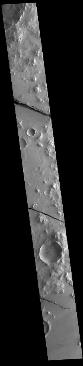 The linear depressions in today's VIS image are part of Cerberus Fossae. The features are termed grabens, and are formed by extensional tectonic forces. As the regional fractures move apart, blocks of material subside between paired faults. The straight sides and uniform depths are indications that this is tectonic feature rather than a channel caused by fluid erosion. The fossae stretch for 1235km (767 miles).  Orbit Number: 85522 Latitude: 9.58809 Longitude: 159.803 Instrument: VIS Captured: 2021-03-26 04:37  https://photojournal.jpl.nasa.gov/catalog/PIA24828