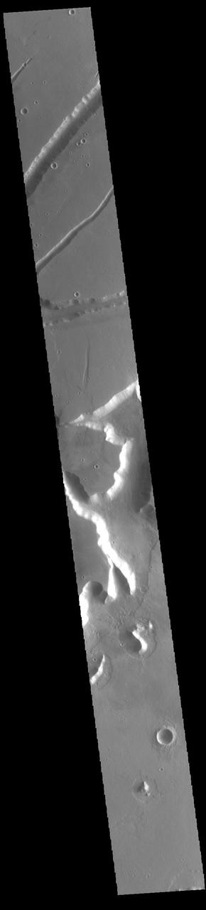 The linear features in this VIS image is part of Labeatis Fossae. Fossae are linear depressions, most often caused by extensional tectonic forces pulling the crust apart and allowing material to slide downward between bounding faults. This type of feature is called a graben. Orbit Number: 85530 Latitude: 29.693 Longitude: 286.169 Instrument: VIS Captured: 2021-03-26 20:32 https://photojournal.jpl.nasa.gov/catalog/PIA24851