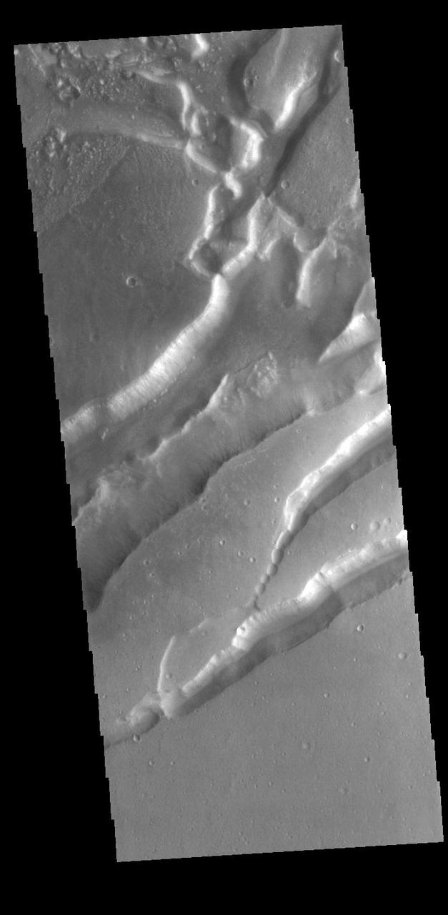 Today's VIS image shows parallel sets of depressions. These are tectonic graben formed when a block of material is down dropped between paired faults. Nilokeras Fossa is located on the margin of Kasei Valles. Orbit Number: 85542 Latitude: 23.3657 Longitude: 300.935 Instrument: VIS Captured: 2021-03-27 20:13 https://photojournal.jpl.nasa.gov/catalog/PIA24854