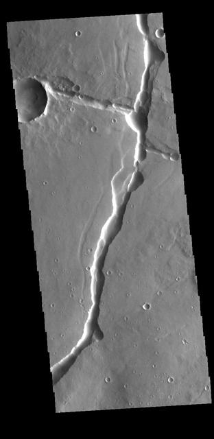 NASA image: Hyblaeus Fossae