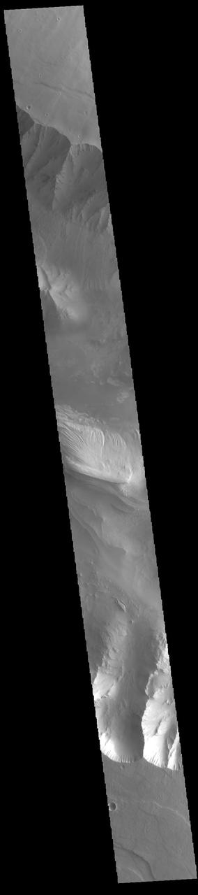 Today's VIS image shows part of eastern Candor Chasma. Candor Chasma is one of the largest canyons that make up Valles Marineris. It is approximately 810 km long (503 miles) and is divided into two regions – eastern and western Candor. Candor is located south of Ophir Chasma and north of Melas Chasma. The border with Melas Chasma contains many large landslide deposits. The floor of Candor Chasma includes a variety of landforms, including layered deposits (bright region in the center of the image), dunes, landslide deposits and steep sided cliffs and mesas. Many forms of erosion have shaped Candor Chasma. There is evidence of wind and water erosion, as well as significant gravity driven mass wasting (landslides).  Orbit Number: 85817 Latitude: -6.96093 Longitude: 291.605 Instrument: VIS Captured: 2021-04-19 11:28  https://photojournal.jpl.nasa.gov/catalog/PIA24875