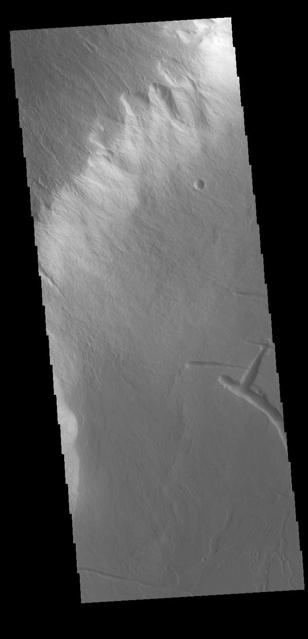 Olympus Rupes