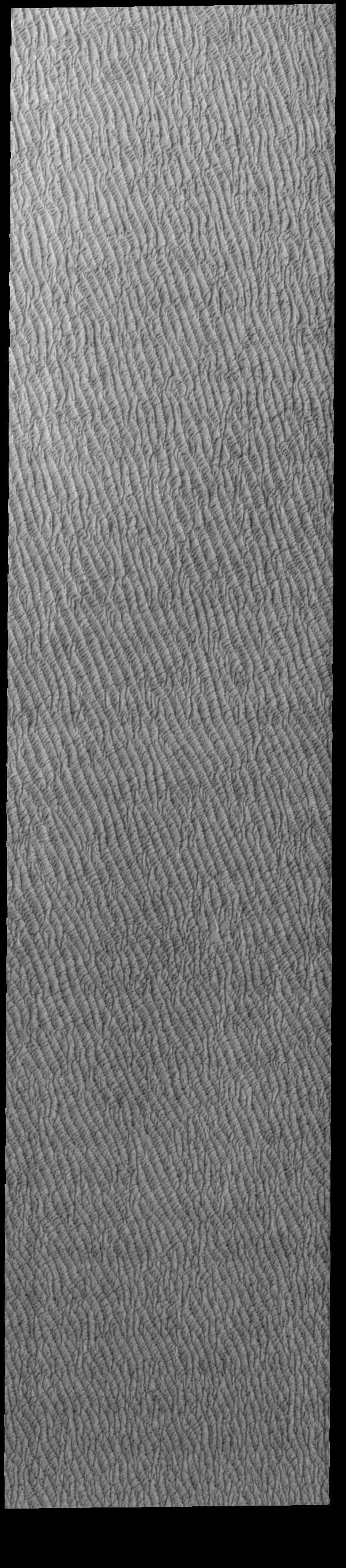 NASA image: Olympia Undae