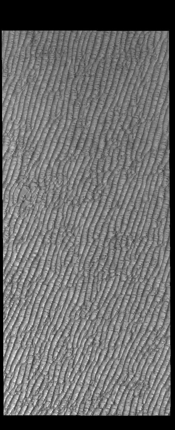 NASA image: Olympia Undae