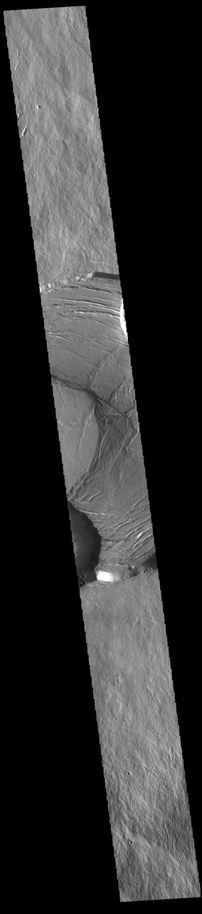 Today's VIS image shows part of the summit caldera of Olympus Mons. Scarps and extensional features (graben) record multiple stages of caldera collapse at the summit of Olympus Mons. Olympus Mons is the largest volcano in the solar system, reaching heights of over 40 km (25 miles) tall from base to summit, with the base covering an area as large as the state of Arizona. For comparison, Mauna Loa is 9 km (5.5 miles) tall measured from its base on the sea floor. Orbit Number: 85894 Latitude: 18.264 Longitude: 226.925 Instrument: VIS Captured: 2021-04-25 19:46 https://photojournal.jpl.nasa.gov/catalog/PIA24885