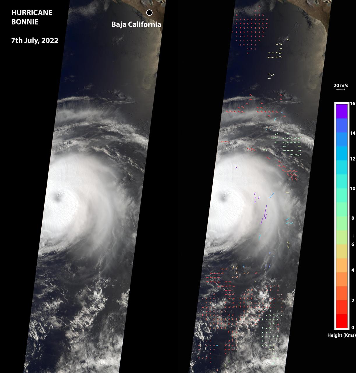 The Multi-angle Imaging SpectroRadiometer (MISR) instrument aboard NASA's Terra satellite captured this image of the eye of Hurricane Bonnie, located about 500 miles (800 kilometers) southwest of the southern tip of Baja California, Mexico, at about 11 a.m. local time on July 7, 2022. Initially classified as a tropical storm on July 2, Bonnie intensified to a Category 3 hurricane on July 5. It was later downgraded, and as of July 8, was considered a tropical storm.  MISR carries nine cameras pointed at Earth at different angles and each camera viewed Bonnie over a period of seven minutes. The motion of the hurricane between those views provides information on wind speed and direction at the height of the clouds. The panel on the left shows the image from MISR's downward-pointing camera. The colored arrows in the panel on the right, superimposed on the same image as the left panel, show wind speed and direction.  The length of the arrows is proportional to wind speed, and their color shows the altitude of the cloud tops in kilometers. MISR observed winds blowing counterclockwise at about 34 mph (55 kph) at altitudes of 6,500 to 33,000 feet (2 to 10 kilometers), consistent with maximal wind gusts reported by the National Hurricane Center based on data from local weather stations and buoys. At altitudes of about 36,000 to 52,000 feet (11 to 16 kilometers), MISR observed winds blowing clockwise at up to 123 mph (198 kph). The eye, spiral rainbands, and reversal of wind direction between low and high altitudes are typical features of a hurricane.  https://photojournal.jpl.nasa.gov/catalog/PIA24906
