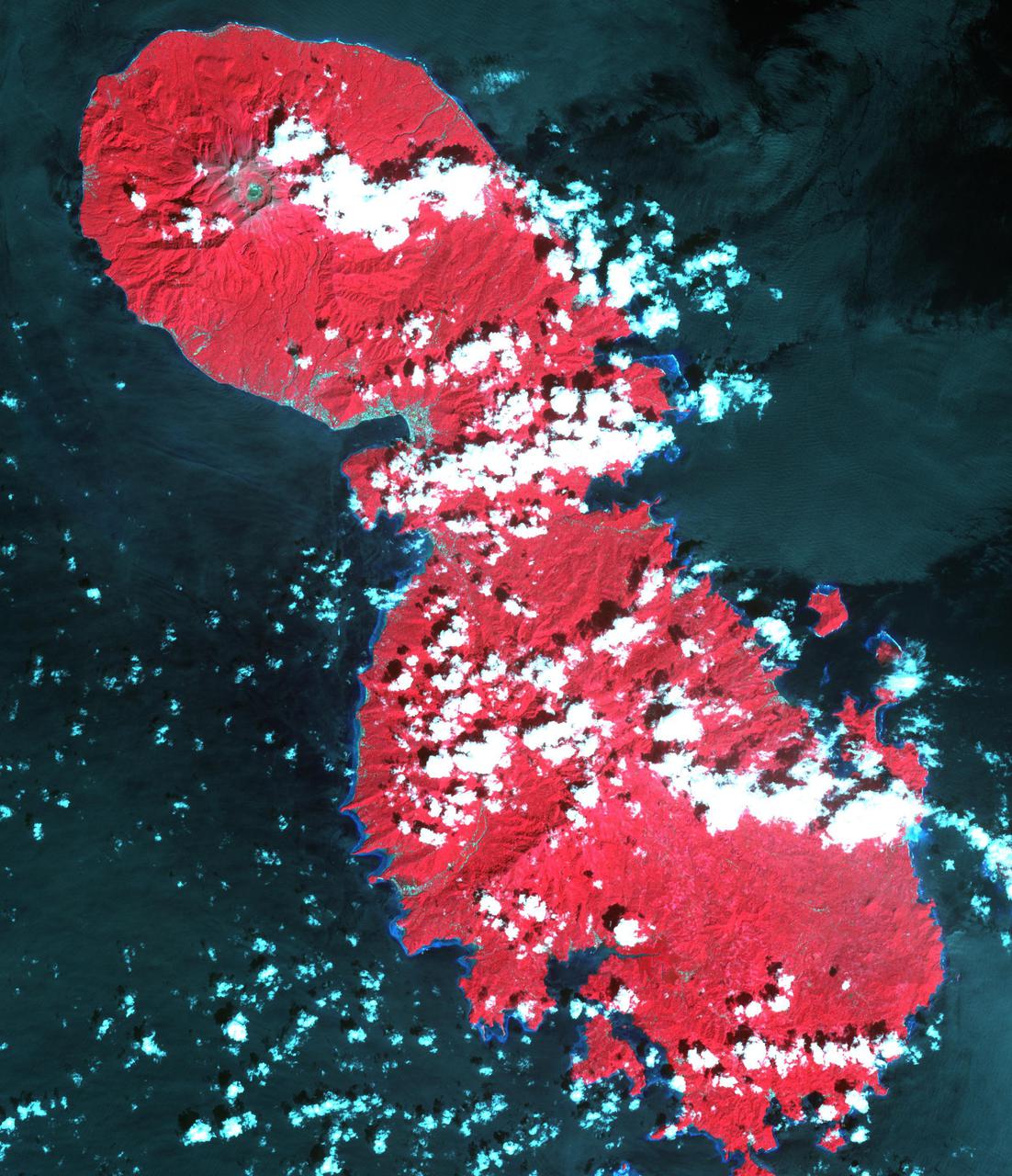 Canadian-based Baru Gold is hoping to start gold mining on the Indonesian island of Sangihe this year. The company's concession covers the southern half of the volcanic island. Opposition to the mining activity cites threats to endemic bird populations and the residents themselves, due to inadequate tailings handling technology. The company projects reserves of nearly 115,000 ounces of gold and 2 million ounces of silver. The image was acquired December 4, 2020, covers an area of 36.3 by 42.1 km, and is located at 3.5 degrees north, 125.5 degrees east.  https://photojournal.jpl.nasa.gov/catalog/PIA24942