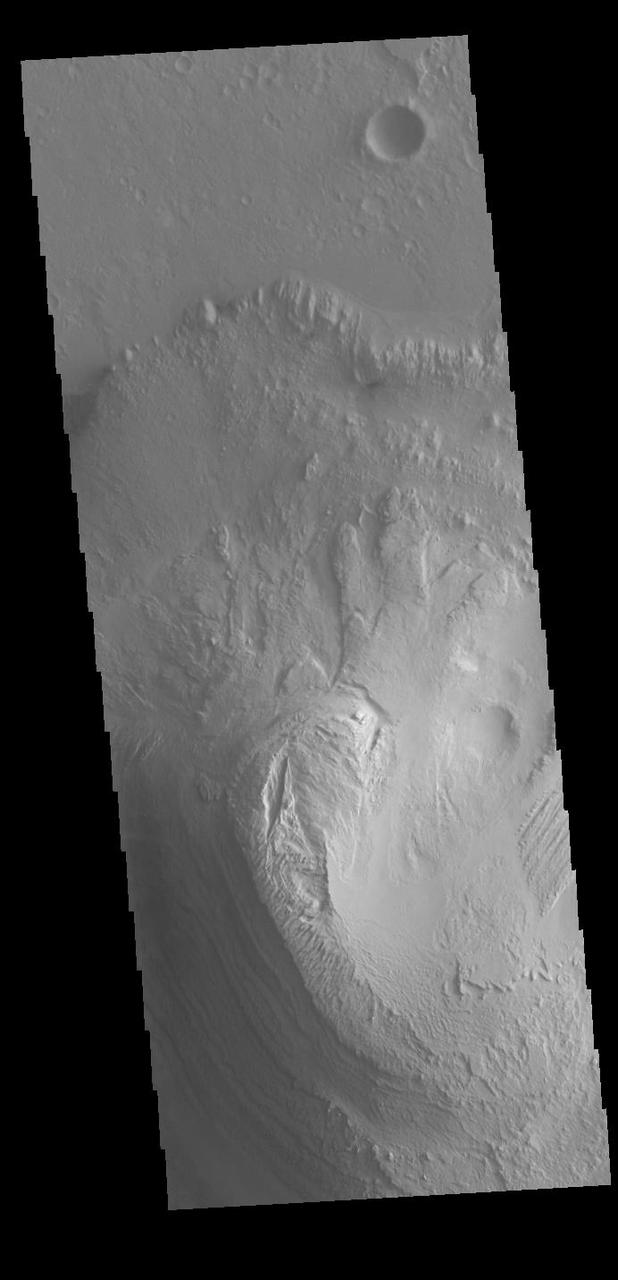 Today's VIS image shows the large layered deposit on the floor of Gale. The Curiosity Rover is located in Gale Crater. Gale crater is 150km (90 miles) in diameter.  Orbit Number: 86309 Latitude: -4.67469 Longitude: 137.724 Instrument: VIS Captured: 2021-05-29 23:44  https://photojournal.jpl.nasa.gov/catalog/PIA24951