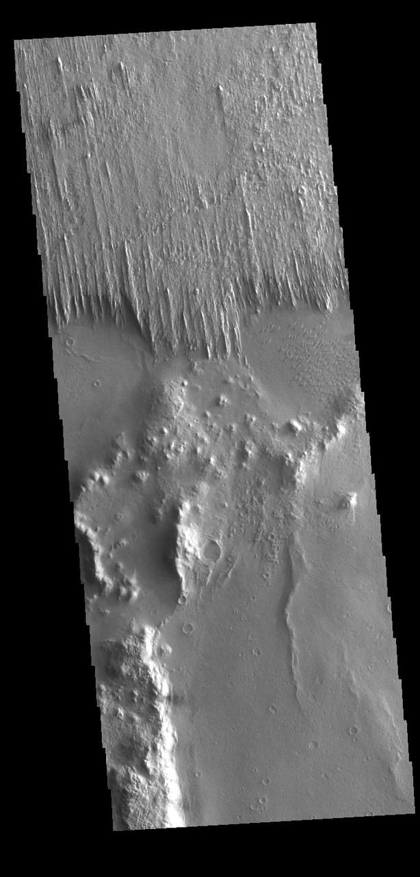 Today's VIS image shows part of Apollinaris Sulci. Yardangs are present at the top of this VIS image. These features are created by long term winds scouring a poor cemented surface material into linear ridges and valleys. The direction of the ridge/valley is aligned with the wind direction, indicating the dominant wind direction in this region was north/south. These yardangs are the southern margin of Apollinaris Sulci, located south of Apollinaris Mons. It has been suggested that this region of Mars provides a large percentage of the surface dust seen around the planet. Ash falls from nearby volcanoes may have been the source of the surface materials eroded into these and other wind etched landforms. Orbit Number: 86395 Latitude: -12.5877 Longitude: 177.796 Instrument: VIS Captured: 2021-06-06 01:38 https://photojournal.jpl.nasa.gov/catalog/PIA24952