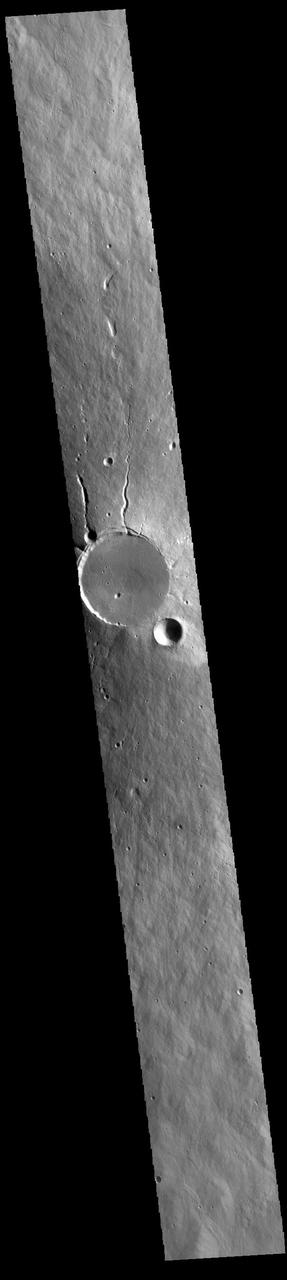 Today's VIS image shows a cross section of Elysium Mons, including the entire summit caldera. Unlike the Tharsis volcanoes to east, there are very few identifiable lava flows on the flanks of the Elysium Mons. In profile the volcano looks like Mt. Fuji in Japan. Mt. Fuji is a stratovolcano. A stratovolcano, also known as a composite volcano, is a conical volcano built up by multiple layers of lava and ash erupting solely from the summit caldera. The Tharsis volcanoes are shield volcanoes, which will host flank eruptions, but rarely ash eruptions. Elysium Mons is 12.6km (7.8 miles) tall. For comparison, Mt. Fuji is 3.7 km (2.3 miles) tall. Orbit Number: 86633 Latitude: 24.5225 Longitude: 146.837 Instrument: VIS Captured: 2021-06-25 16:09 https://photojournal.jpl.nasa.gov/catalog/PIA24959