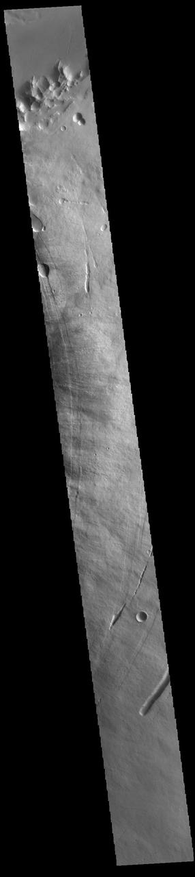 This VIS image shows part of the eastern flank of Pavonis Mons. Pavonis Mons is the central volcano of the three large Tharsis volcanoes. All three volcanoes form a line located along a tectonic bulge caused by extensional forces in the region. Pavonis Mons is the smallest of the three with a summit of only 14km (8.7 miles). The linear features in the image are concentric faults. Pavonis means peacock in Latin, making the name peacock mountain.  Orbit Number: 86667 Latitude: 1.2754 Longitude: 249.141 Instrument: VIS Captured: 2021-06-28 11:12  https://photojournal.jpl.nasa.gov/catalog/PIA24960
