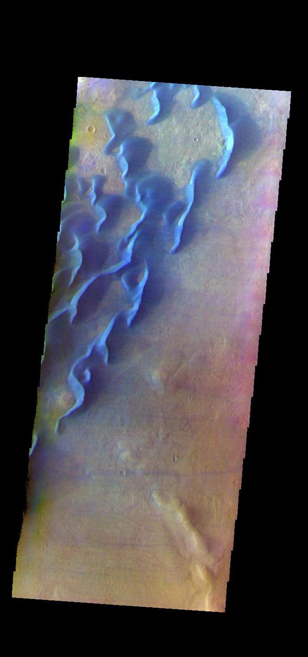 The THEMIS VIS camera contains 5 filters. The data from different filters can be combined in multiple ways to create a false color image. These false color images may reveal subtle variations of the surface not easily identified in a single band image. This false color image shows part of the floor of Kaiser Crater. Kaiser Crater is 207 km (129 miles) in diameter and is located in Noachis Terra west of Hellas Planitia. This sand dune field is one of several regions of sand dunes located in the southern part of the crater floor.  With enough wind and sand, sand dunes are formed. Dune morphology typically has a shallow slope on the side the wind is blowing from and a steep face on the other side. The lighter part of the dunes in this image are the steep slopes. Wind blows sand particles up the shallow slope and then the particles 'fall' off the crest of the dune down the steep side. With time, the constant wind will move the crest of the dune forward. Depending on the amount of available sand, dunes can grow to large heights and sizes. The dunes in this image are moving west – towards the left side of the image. Dark blue in this false color combination are typically basaltic sand.  The THEMIS VIS camera is capable of capturing color images of the Martian surface using five different color filters. In this mode of operation, the spatial resolution and coverage of the image must be reduced to accommodate the additional data volume produced from using multiple filters. To make a color image, three of the five filter images (each in grayscale) are selected. Each is contrast enhanced and then converted to a red, green, or blue intensity image. These three images are then combined to produce a full color, single image. Because the THEMIS color filters don't span the full range of colors seen by the human eye, a color THEMIS image does not represent true color. Also, because each single-filter image is contrast enhanced before inclusion in the three-color image, the apparent color variation of the scene is exaggerated. Nevertheless, the color variation that does appear is representative of some change in color, however subtle, in the actual scene. Note that the long edges of THEMIS color images typically contain color artifacts that do not represent surface variation.  Orbit Number: 84872 Latitude: -47.0102 Longitude: 20.0034 Instrument: VIS Captured: 2021-01-31 15:23  https://photojournal.jpl.nasa.gov/catalog/PIA25006
