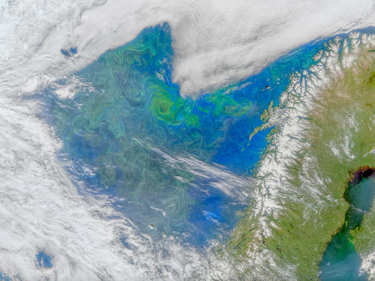 This morphing animation compares the eddies in Earth's oceans to the turbulent clouds in Jupiter's atmosphere. In the movie, a zoom occurs around a vortex dipole: a typical structure consisting of a cyclone and an anticyclone that is present both in Earth's ocean and Jupiter's atmosphere. The ocean image showing the spring phytoplankton bloom in the southern Gulf of Bothnia was generated from data collected by the MODIS instrument about NASA's Aqua satellite. The Jupiter image is from JunoCam. Scientist Lia Siegelman observed the similarities between the richness of turbulence around Joviancyclones and the filaments around smaller eddies seen in Earth's oceans. These similarities were especially evident in high-resolution satellite images of plankton blooms. Movie available at https://photojournal.jpl.nasa.gov/catalog/PIA25069
