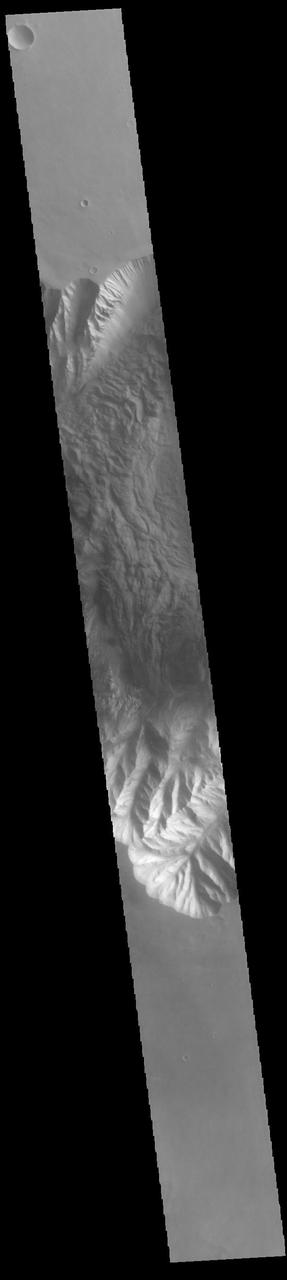Today's VIS image shows part of eastern Hebes Chasma. The floor of the chasma is covered with chaotic materials, some from landslides and other layered deposits of unknown origin. Hebes Chasma is a closed basin north of Valles Marineris. It measures 126km wide north/south (78 miles), 315 km long east/west (196 miles), and 8 km (5 miles) at its deepest point. Orbit Number: 88001 Latitude: -1.32567 Longitude: 284.971 Instrument: VIS Captured: 2021-10-16 07:20 https://photojournal.jpl.nasa.gov/catalog/PIA25105