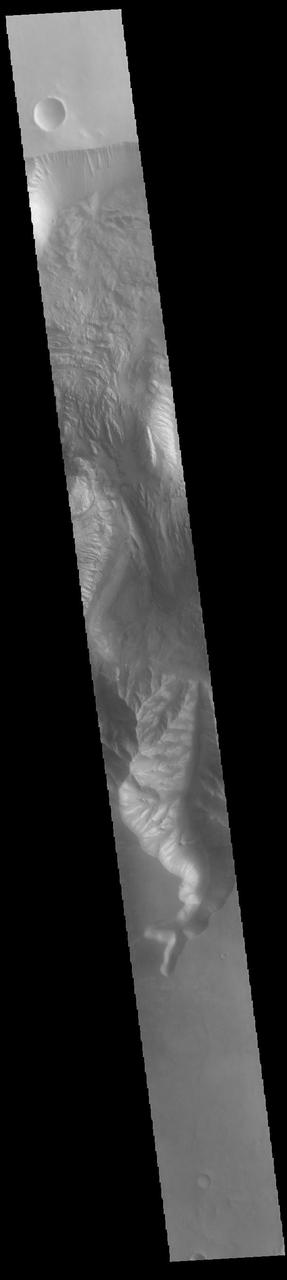 Today's VIS image shows part of the central region of Hebes Chasma. The floor of this closed basin filled with landslide deposits and other layered materials. The eastern margin of Hebes Mensa is just visible on the left center side of the image. Wind and water processes have eroded the floor materials. Orbit Number: 87427 Latitude: -1.35658 Longitude: 284.373 Instrument: VIS Captured: 2021-08-30 01:02 https://photojournal.jpl.nasa.gov/catalog/PIA25106