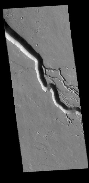 NASA image: Elysium Fossae and Iberus Vallis