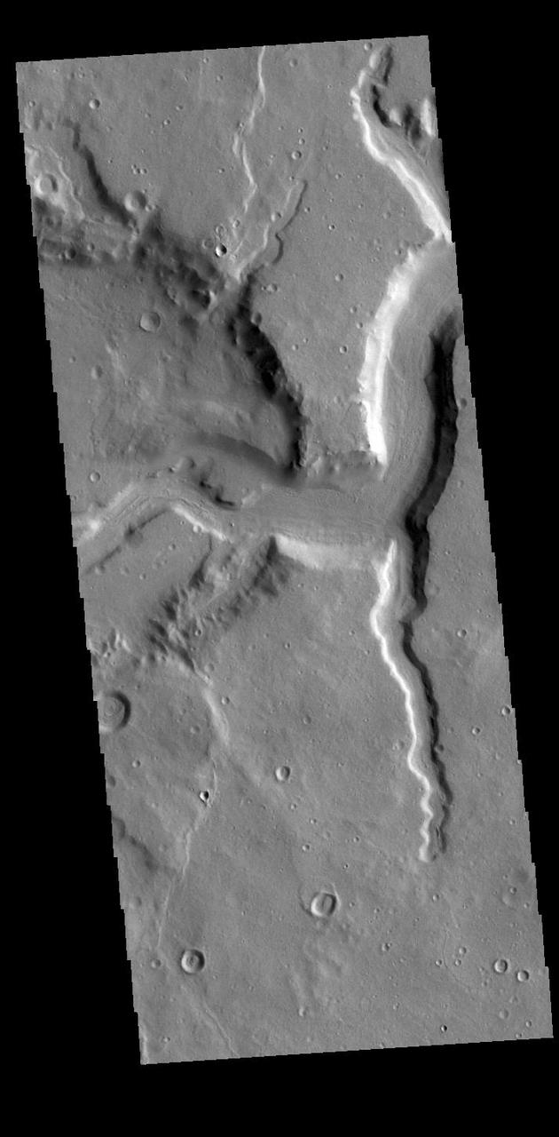 Today's VIS image shows a section of Mamers Valles, a complex channel nearly 1000 km long (600 miles). Mamers Valles originates near Cerulli Crater in northern Arabia Terra, and after a short section near the crater where flow is to the south, flows northward to empty in Deuteronilus Mensae. This image is located where the channel is still flowing southward. On the left side of the image the channel cuts into a crater, one of several the valles will encounter. The steep walls of Mamers Valles can reach heights of 1200 m (4000 feet). Orbit Number: 88035 Latitude: 30.9168 Longitude: 19.6827 Instrument: VIS Captured: 2021-10-19 02:43 https://photojournal.jpl.nasa.gov/catalog/PIA25115