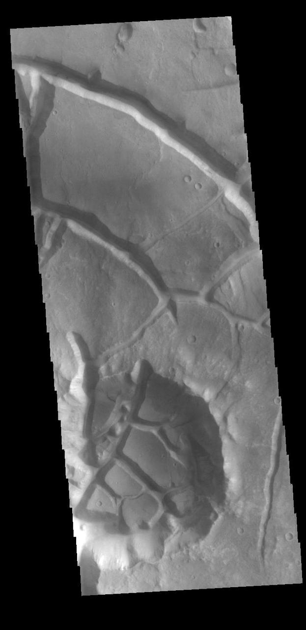 Today's VIS image shows part of Aram Chaos. Aram Chaos was initially formed by a large impact. Over time the crater interior was modified by several different processes, including liquid water. Chaos forms from erosion of the surface into mesa features. With time the valleys expand creating the jumble of mesas seen in the image. Orbit Number: 88099 Latitude: 1.62222 Longitude: 337.317 Instrument: VIS Captured: 2021-10-24 09:02 https://photojournal.jpl.nasa.gov/catalog/PIA25118