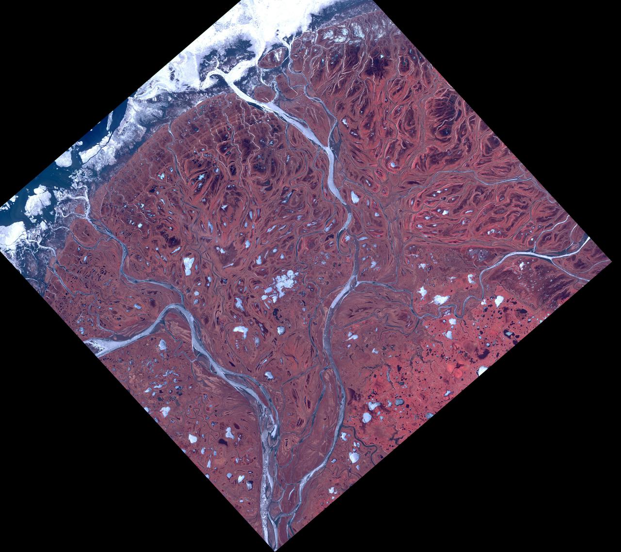 The Yukon River Delta (along with the Kuskokwim River) is one of the largest in the world. Emptying into the Bering Sea on the west coast of Alaska, it is over 130,000 square kilometers in size. The combined delta has about 25,000 Alaska Native residents. The image was acquired May 10, 2017, covers an area of 60 by 60 km, and is located at 62.9 degrees north, 164.3 degrees east.  https://photojournal.jpl.nasa.gov/catalog/PIA25124